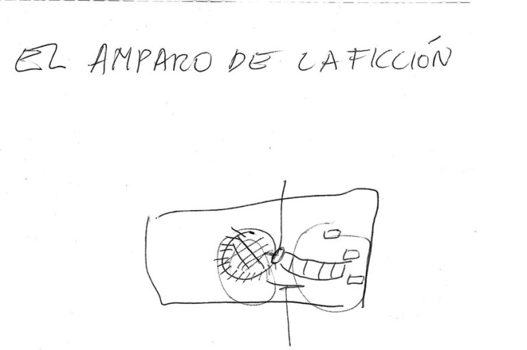 EL AMPARO DE LA FICCIÓN, F TOMSICH, 2006