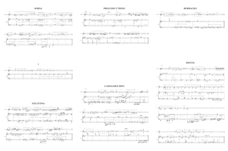 MARTÍN PESCADOR_HIRAM VINDENSON, 2013 2